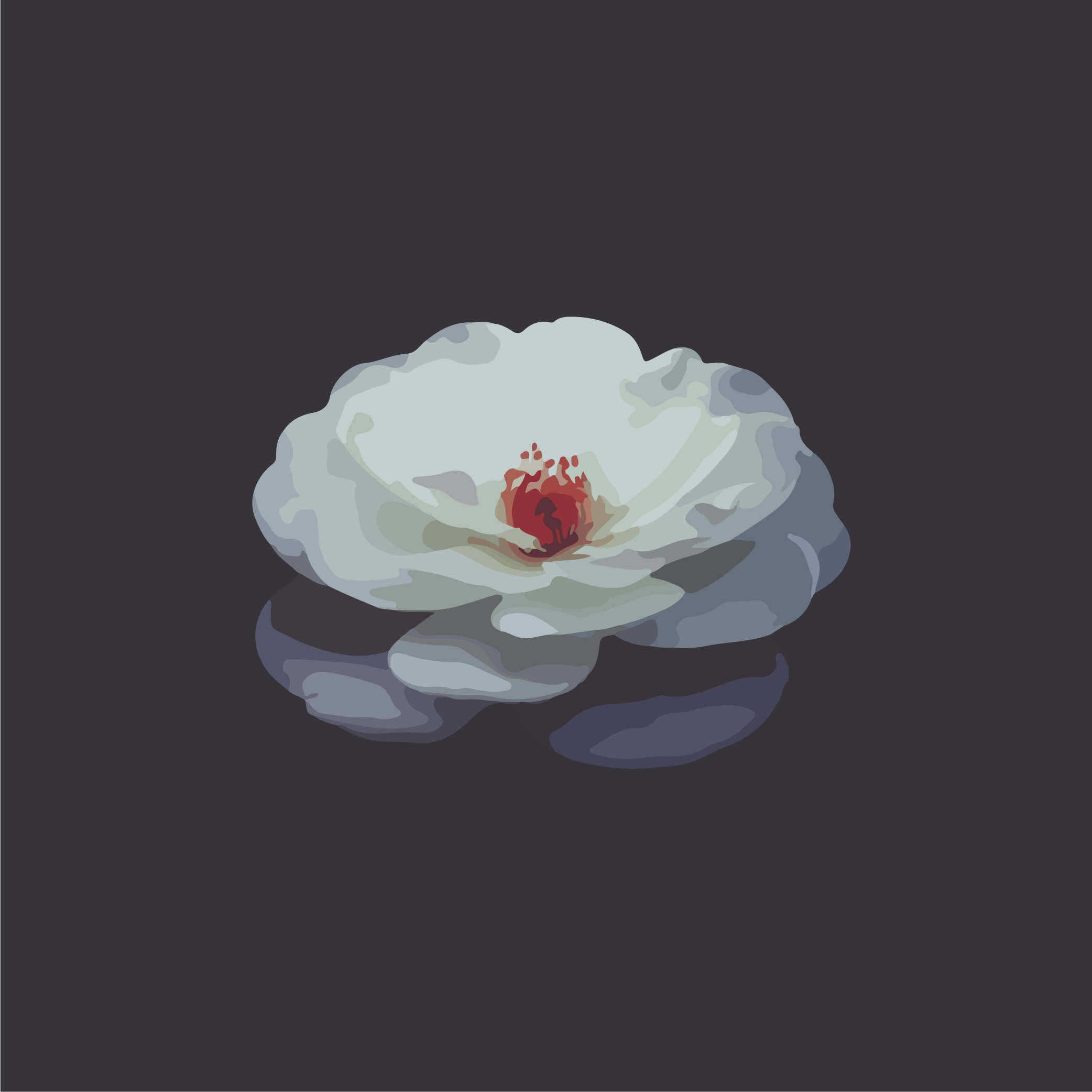 Lotus-02